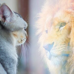 This Song Will Inspire You To Dream Bigger! (NOT PLAYING SMALL ANYMORE)